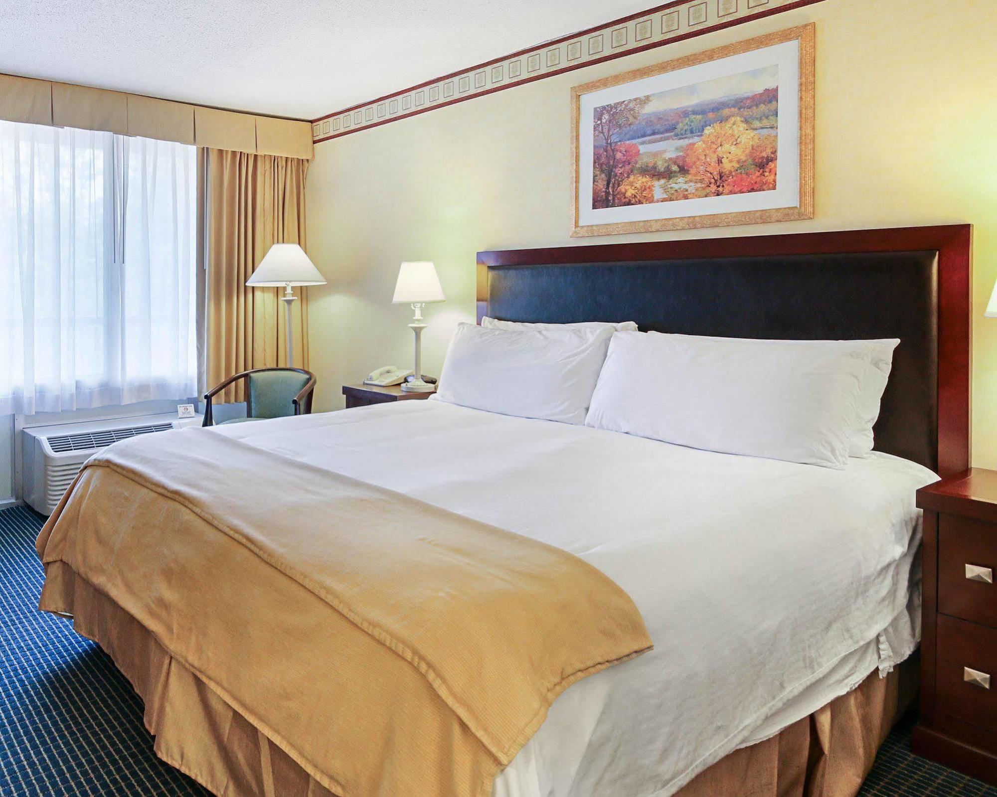 Hotel &